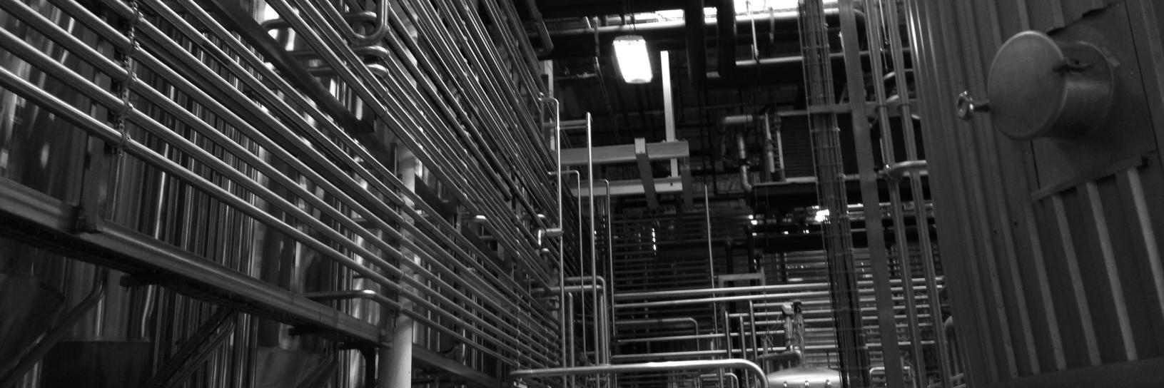 Matt Stauffer banner