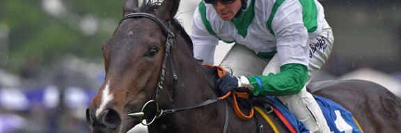 Declan Carroll banner