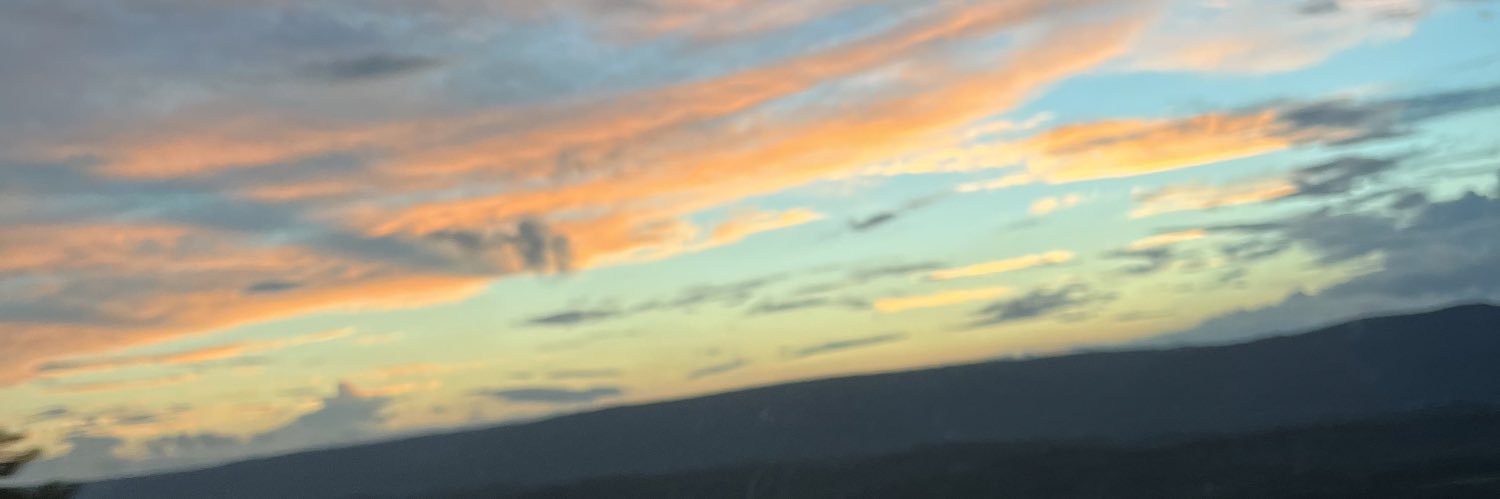 chloedaviss_'s profile banner image