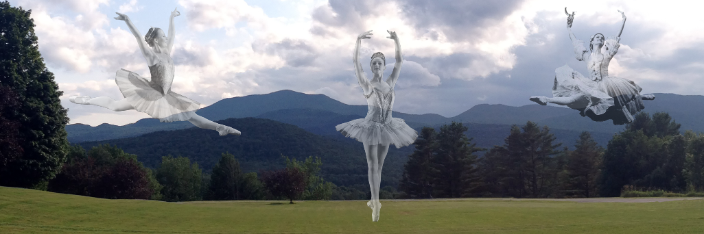 BurklynBallet's profile banner image