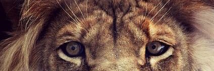 Fabian18Monzon's profile banner image