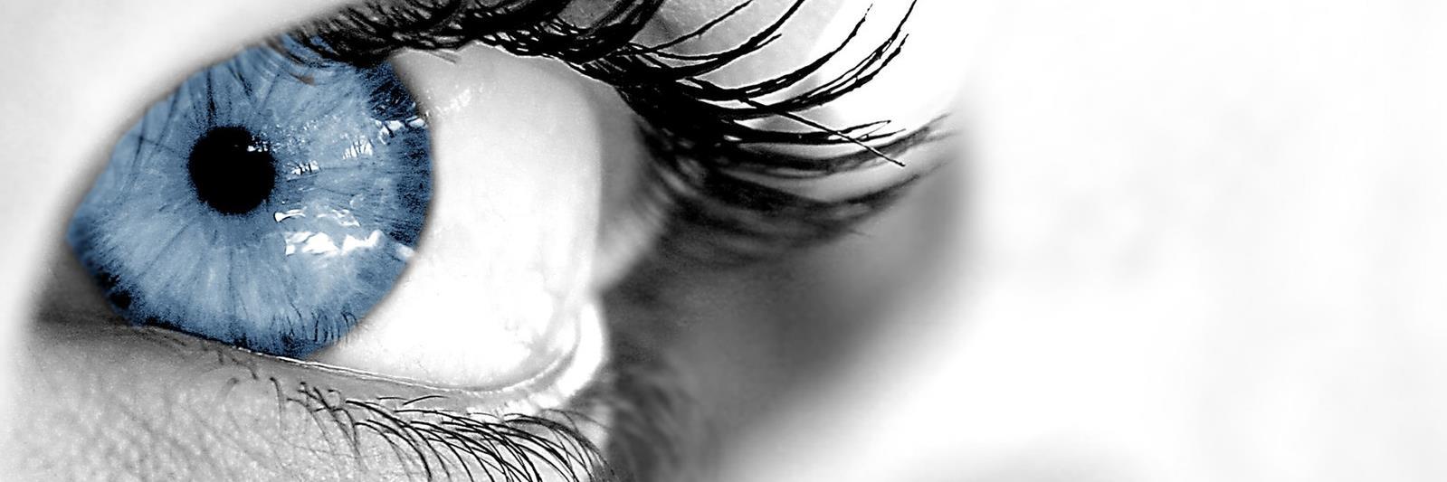VisionPlusBelle's profile banner image