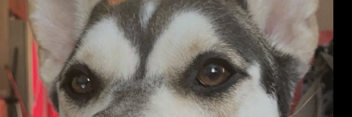 NoChillPhil07's profile banner image