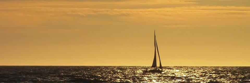 PVisedo's profile banner image