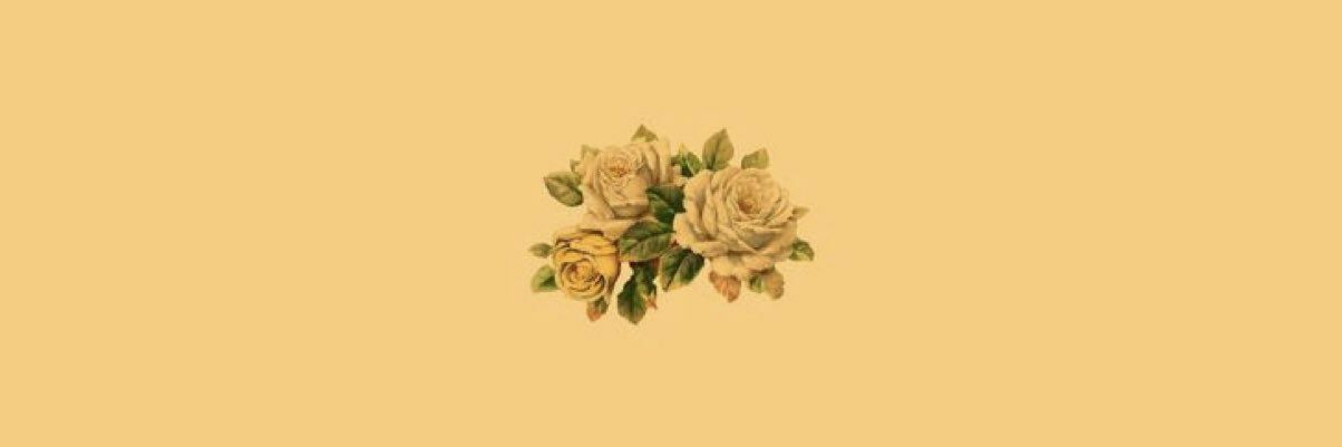 DECEITFULR0SE's profile banner image