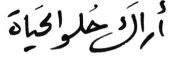 suha_sr's profile banner image