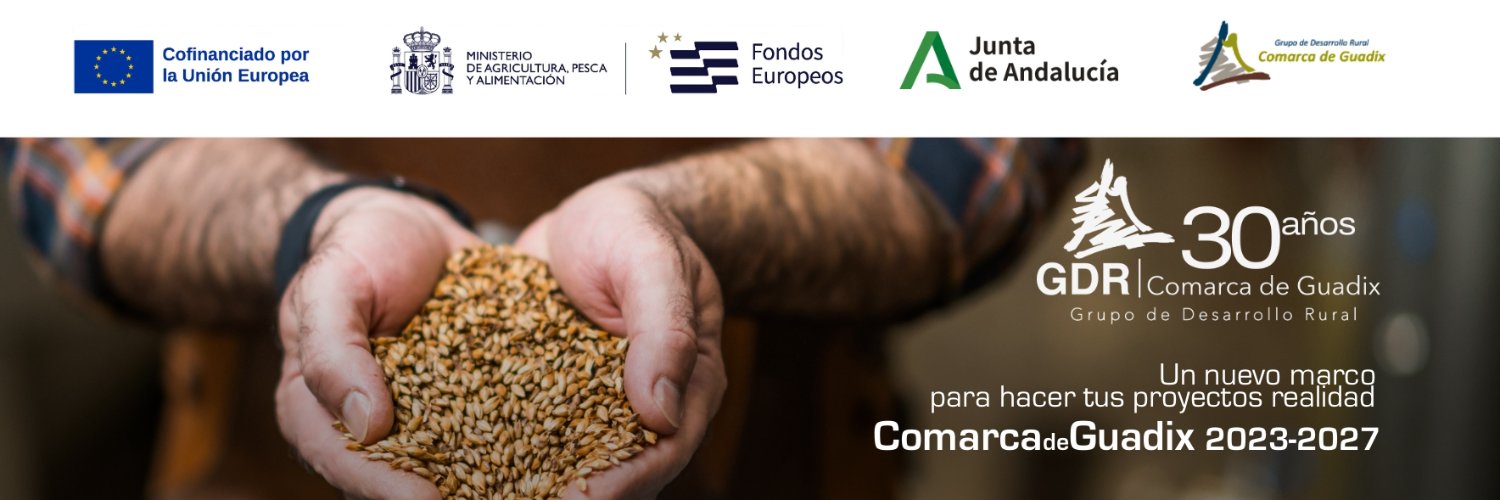 GDR de GUADIX banner