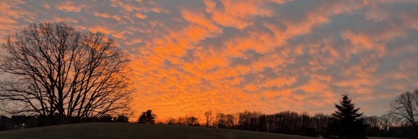 caitmarb5 Profile Banner