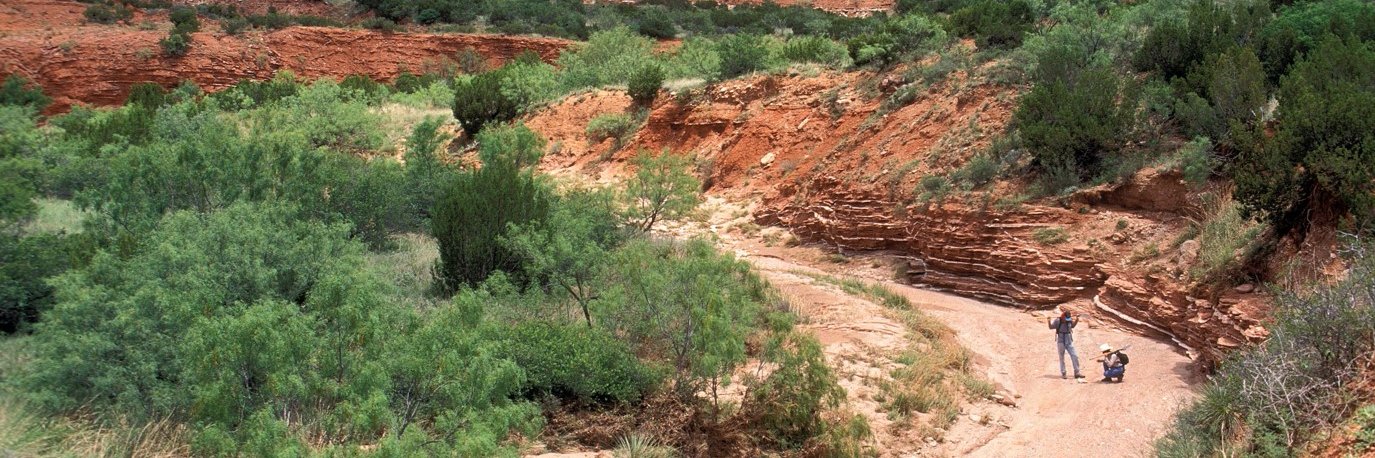 TPWDCultural's profile banner image