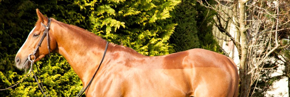 KillackStud's profile banner image