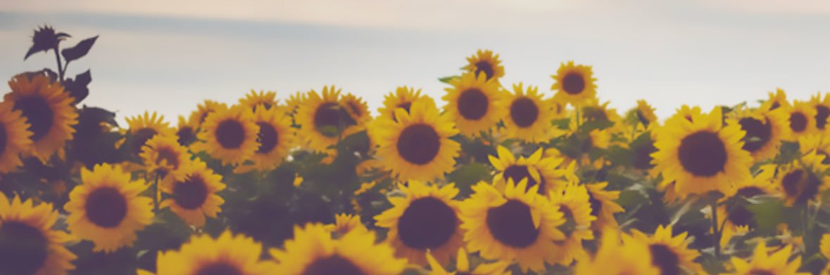 tshootaa's profile banner image