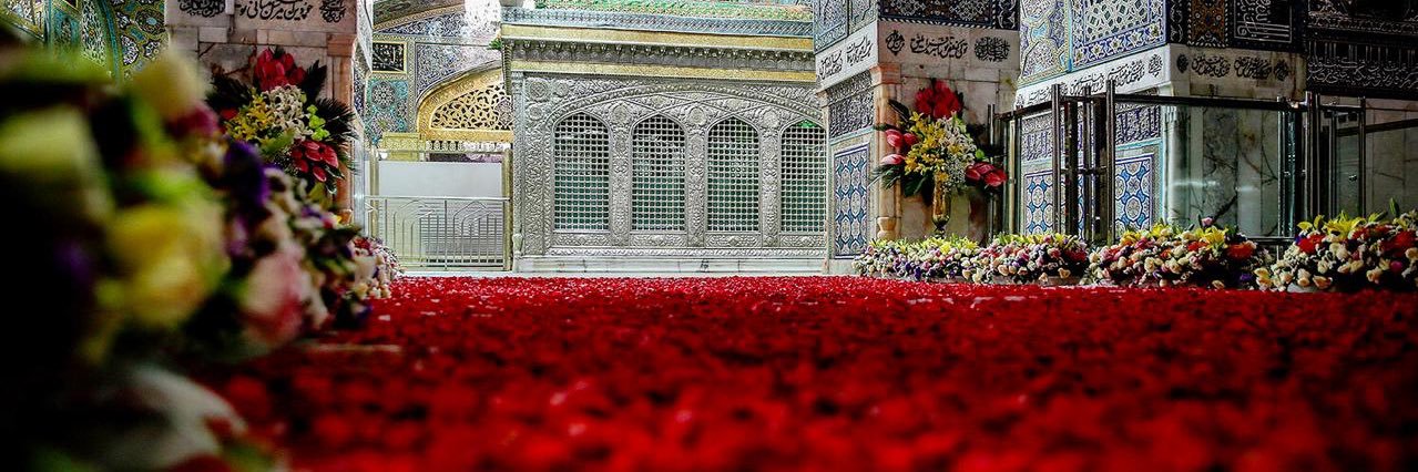SAYED_HAMZA's profile banner image