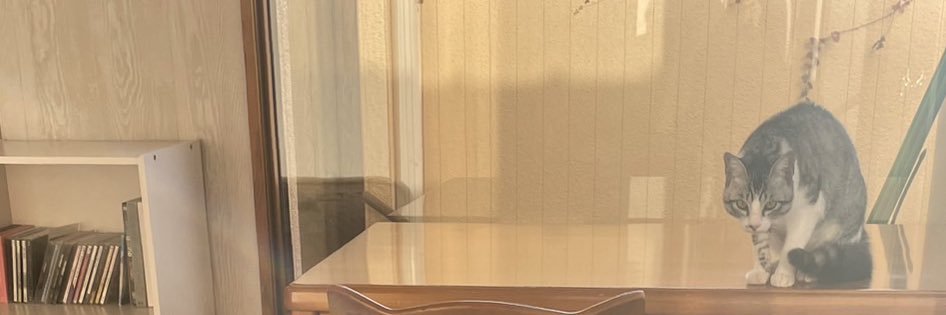 a___love's profile banner image