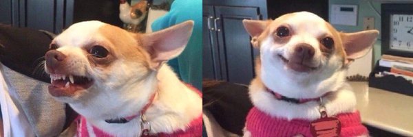 Lexiiee_x Profile Banner