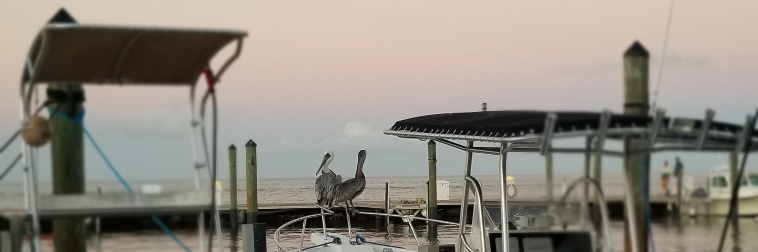 Yudy Pineiro banner
