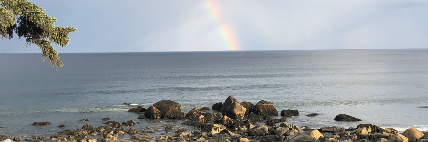 limnby's profile banner image
