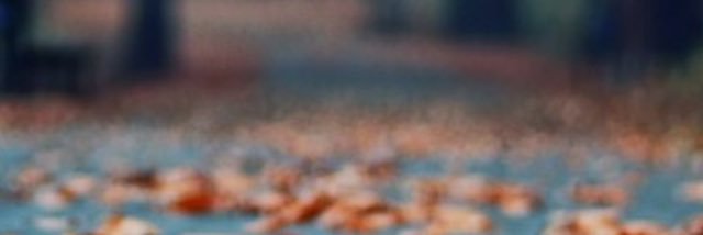 zoego12's profile banner image