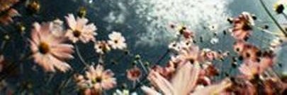 TheHeartsNorth's profile banner image
