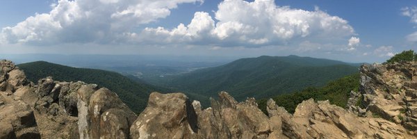 greenberglyons Profile Banner