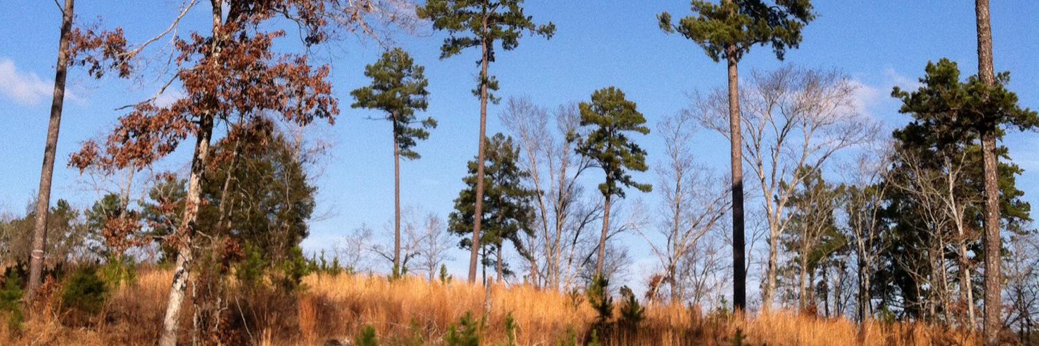 HoosierTrapSup's profile banner image