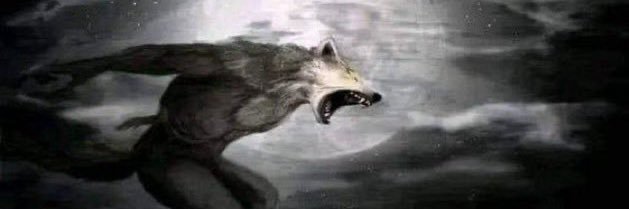 polkewset's profile banner image
