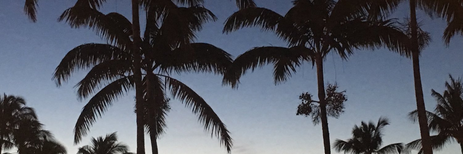 TneshiaPages's profile banner image