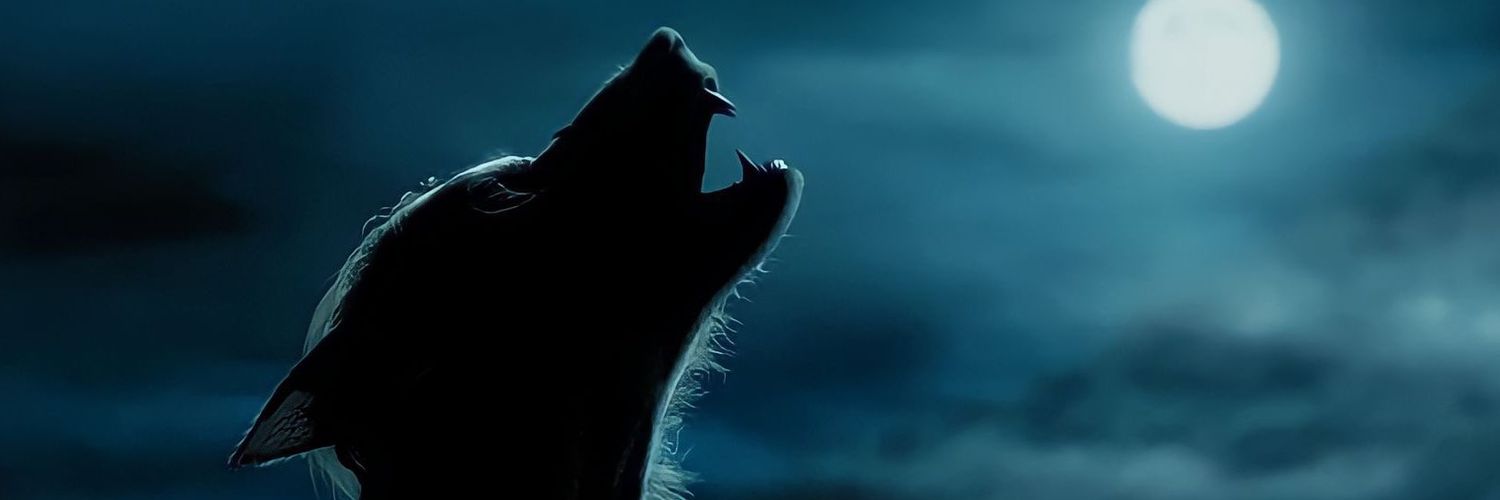 evalvarez_'s profile banner image