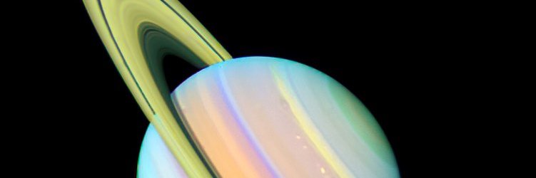 fckwpw's profile banner image