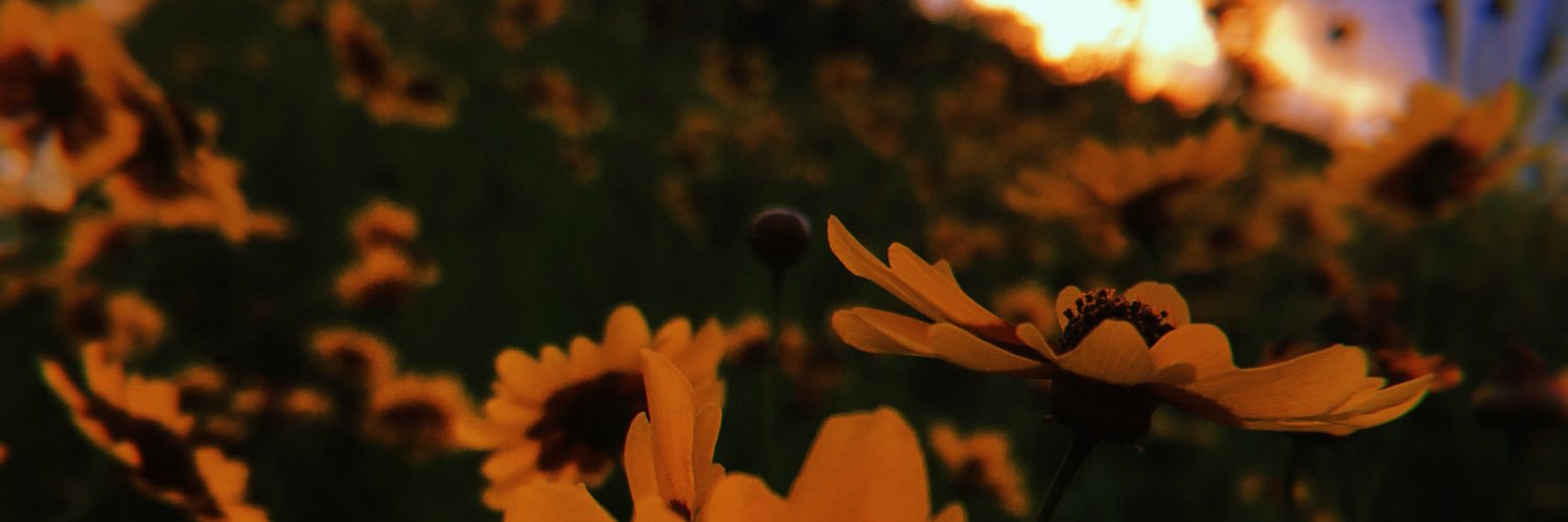 andyflores55's profile banner image