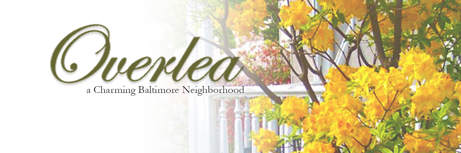 OverleaRocks's profile banner image