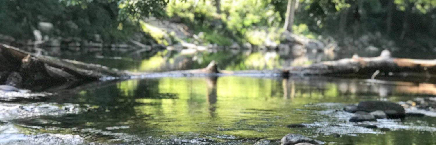 kmcgill_14's profile banner image