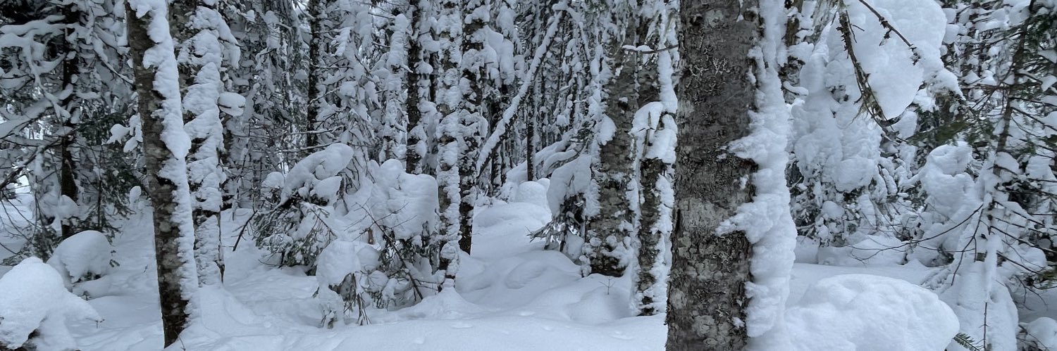AlainBourk's profile banner image