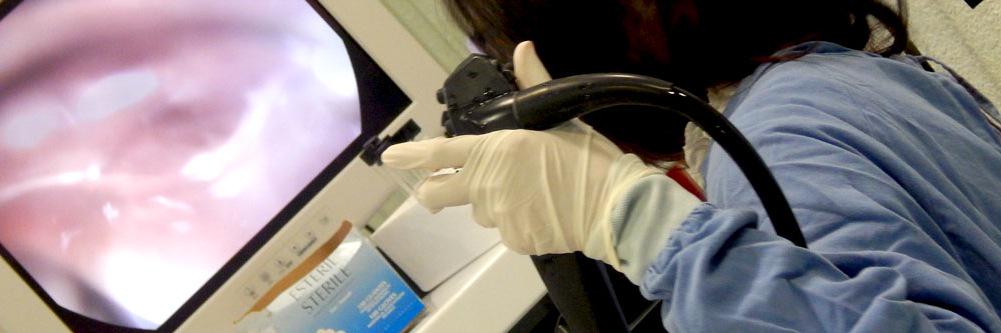 AMEG_Endoscopia's profile banner image