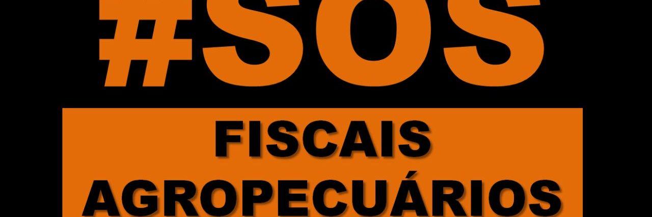 estrozi30's profile banner image