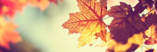 iMollyWeasley_'s profile banner image