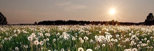 GemmaRafferty's profile banner image