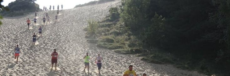 Jayne Catherall banner