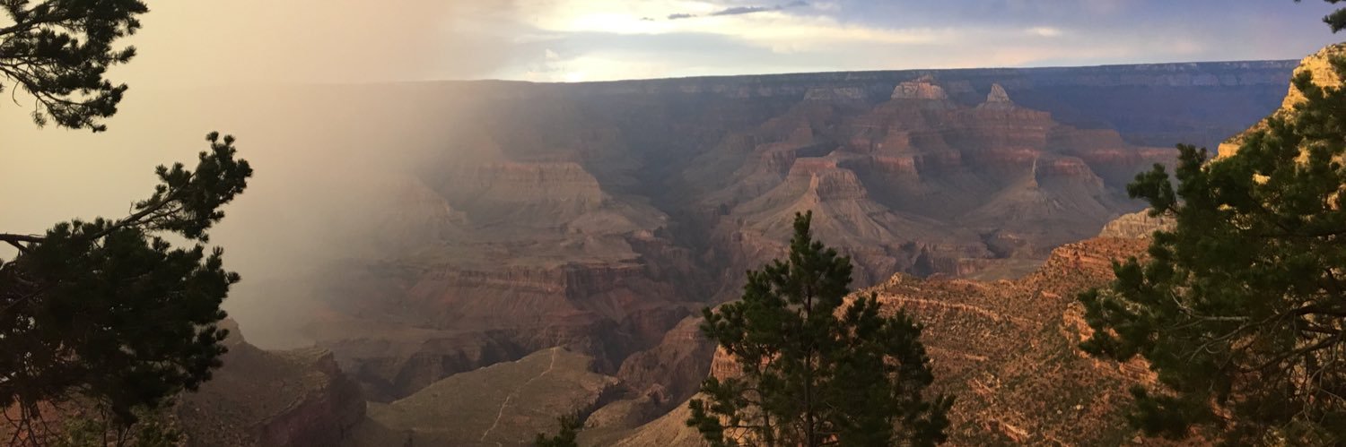 maryyanek's profile banner image