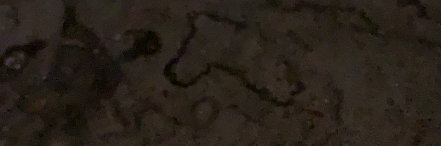heidiilynn15's profile banner image