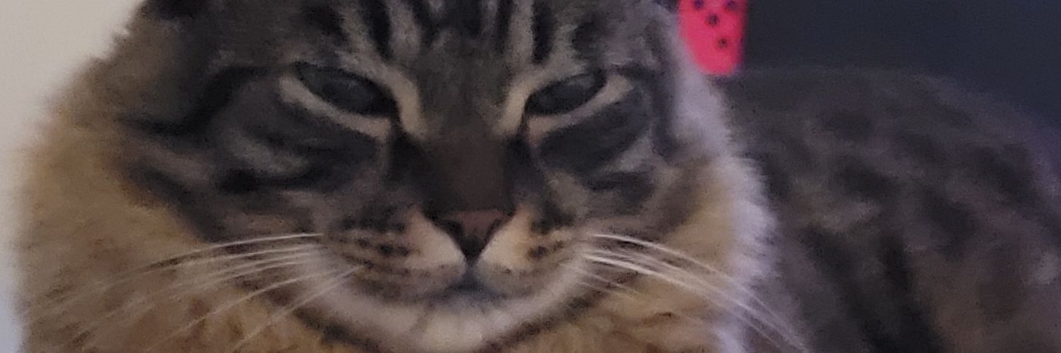 pitalo_'s profile banner image