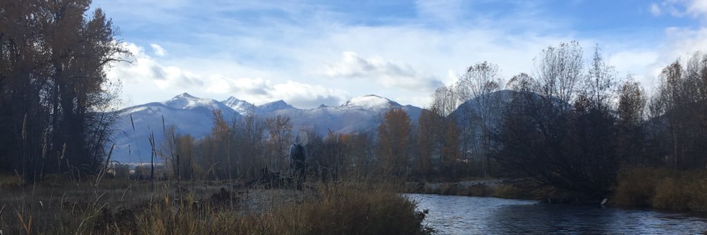 thebeav65's profile banner image