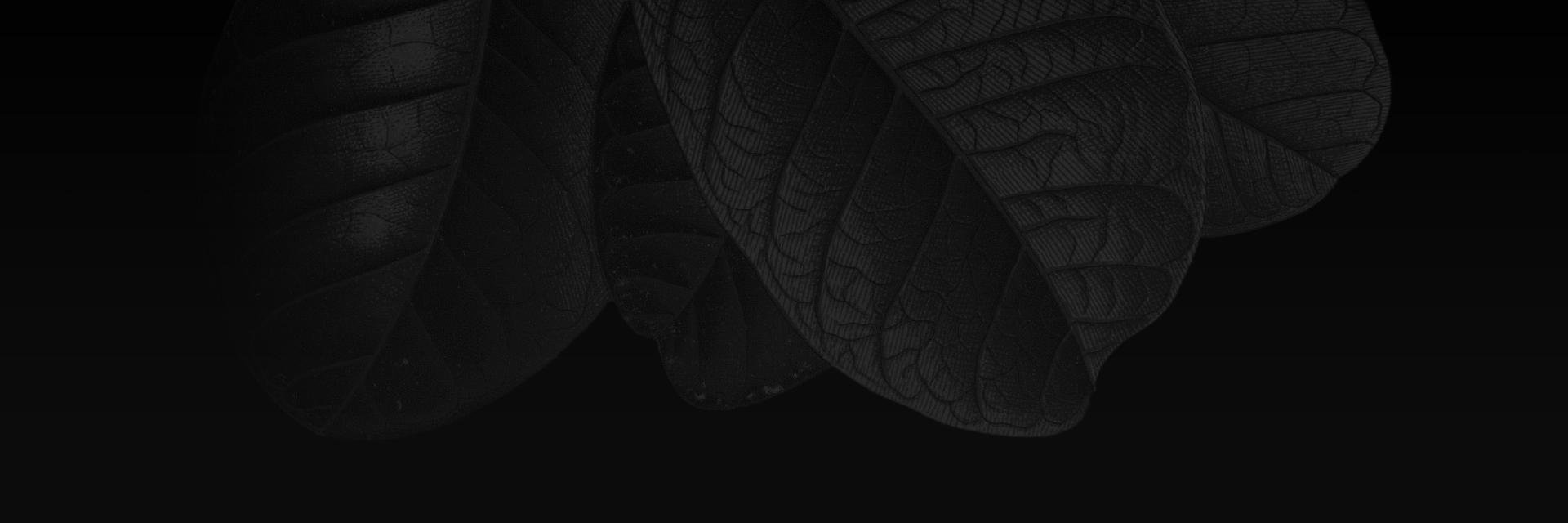 k4kans's profile banner image