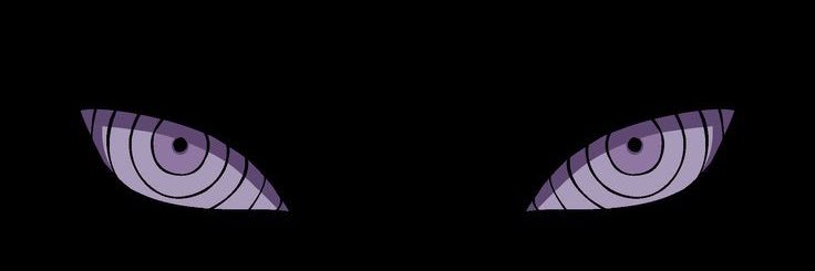 Michael Bauer banner