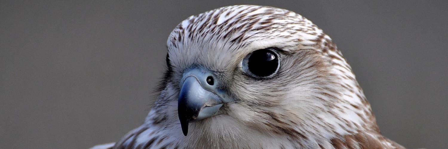 Александр Садовников banner