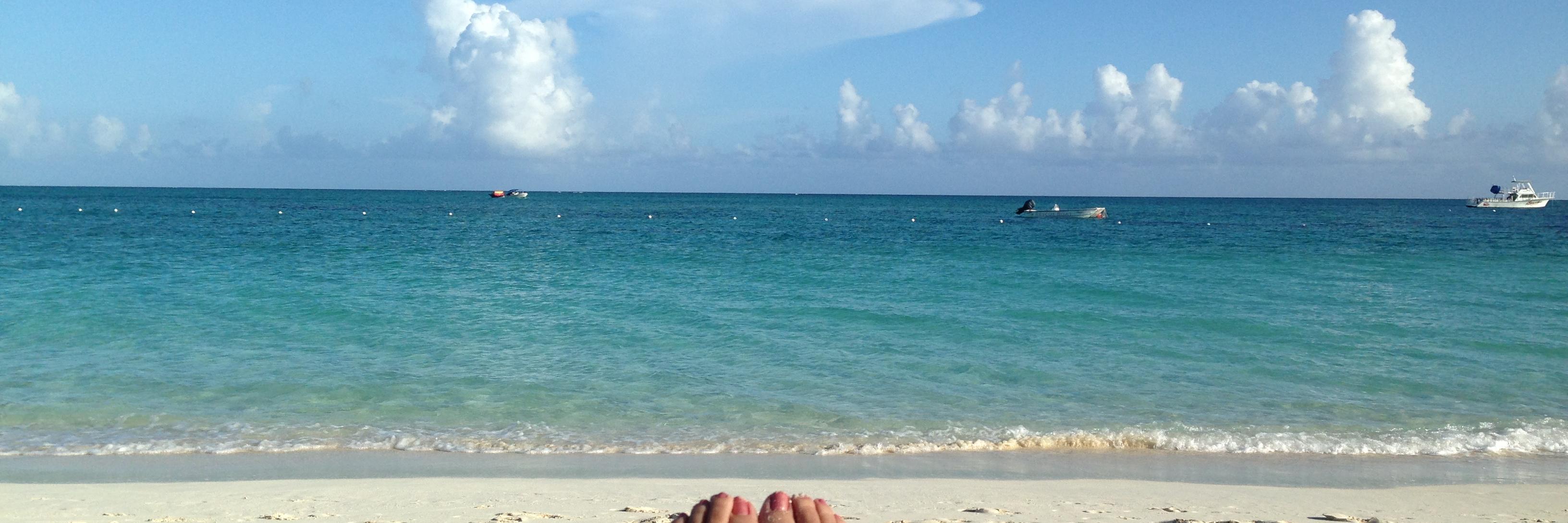 RavishingReader banner