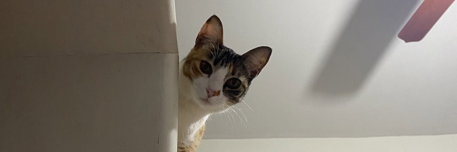 palomasdo_'s profile banner image