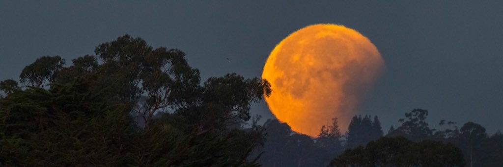 bmurphysmith's profile banner image