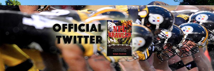 nflbrawler's profile banner image