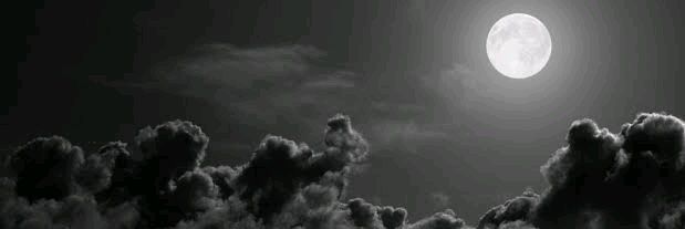 Stevie Gerald banner