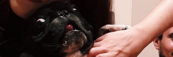 annibae's profile banner image